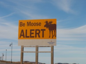 Be Moose Alert